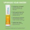 Himalaya PartySmart Lemon Lime Electrolytes Powder Packets, 12 Count, Support Hydration, Rehydrate with Sodium & Potassium, Vitamin C & more, Antioxidant Recovery Blend Milk Thistle, Ginger & Turmeric