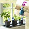 4 Pack Self Watering Spikes, Indoor Plant Watering Globes, Bird Shape Automatic Irrigation Spikes, Self-Watering Terracotta Spikes, Plant Watering Devices（Blue）