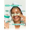 BRING GREEN Tea Tree Cica Pore Pack (Tea Tree Cica Pore Clay Pack)