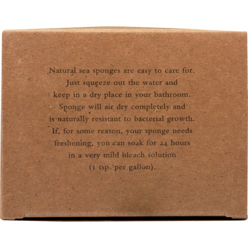 Baudelaire, Sea Sponge Caribbean Wool 4.5 in, 1 Count