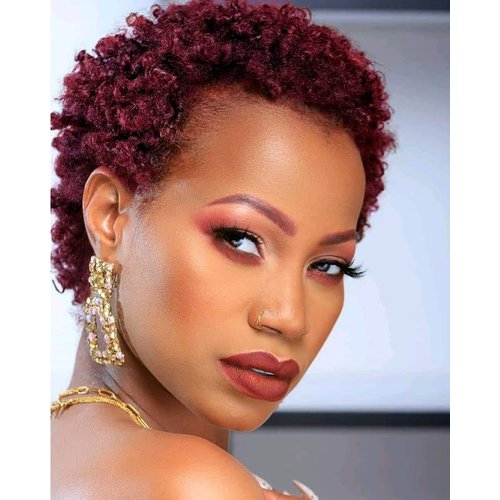 Qingcheng Short Ombre Wig Synthetic Short Wigs for Black Women Short Afro Curly Wigs for Women (Q...