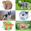 Mini Tudou Dog Figures Play Set,12 pcs Realistic Dog Figurines Toys w/ Dog House,Durable Solid Body Puppy Figurines Sheepdog,Golden Retriever for Cake Topper,Educational Toy,Collection and Decorations