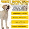 Yeast Infection Treatment for Dogs, Natural Dog Pets Herbal Supplement, Supports Dog Healthy Itch Relief, Ear Infection Treatment, Dogs Allergy Relief, Inflammation Relief