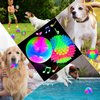 Skylety 2 Pieces Light up LED Dog Ball Elastic Flashing Ball Glowing Interactive Dog Toy Ball Flash LED Dog Ball Toy Pet Color Ball Bounce-Activated for Dogs and Puppies