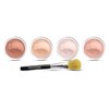 5pc BLUSH SET with BRUSH Mineral Makeup Kit Bare Face Powder Rouge Highlight (Sample Size Blush Set)