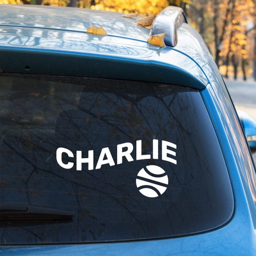 Ball Picture Dog Bowl Decal with Personal Sign - Custom Dog Name Inscription and Ball Picture Decal - Puppy Name Sticker with Ball Picture for Bowl