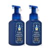 Bath and Body Works Gentle Foaming Hand Soap 8.75 Ounce 2-Pack (Fresh Winter Air)