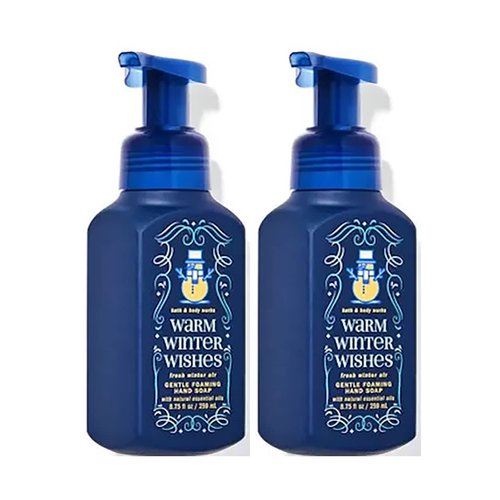 Bath and Body Works Gentle Foaming Hand Soap 8.75 Ounce 2-Pack (Fresh Winter Air)
