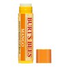 Burt's Bees Lip Balm - Mango, Lip Moisturizer With Responsibly Sourced Beeswax, Tint-Free, Natural Origin Conditioning Lip Treatment, 2 Tubes, 0.15 oz.