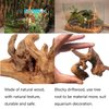 Tfwadmx 5PCS Aquarium Driftwood Branches Reptiles Trunk Driftwood Natural Wood Fish Tank Decoration Plant Stump Ornament Decor Assorted