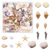 Julie Wang 1 Box of 200pcs Small Shell Conch Starfish Natural Tiny Ocean Seashells for DIY Miniature Beach Critter Decor Arts Crafts Projects Fish Tank Vase Filler