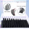 Fluffy Lash Clusters 300D Thick Long 12-25mm Volume Cluster Eyelash Extensions 224Pcs Wispy Individual Lashes D Curl Waterproof Eyelash Clusters Soft False Eyelashes DIY at Home, by Yaiseiko