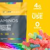 Purbolics Aminos | 4g of Free-Form Amino Acids, Beta-Alanine, 0 Sugar & 60 Servings (Sour Rainbow Candy)
