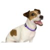 Purpletopia Paw Print Dog Collar