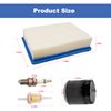 CLUBRALLY Golf Cart Tune Up Kit for Club Car DS 1992-2004 Gas Carts with FE290 Engines, Air Filter 1015426, Oil Filter 1016467 41016467, Fuel Filter 1013684 1014522 102003201, Spark Plug