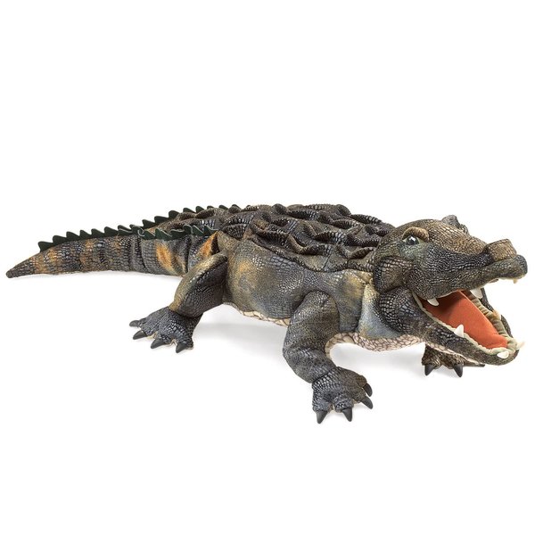 Folkmanis American Alligator Hand Puppet, Green, 1 EA