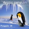 WONWONTOYS 10PCS Realistic Arctic Penguin Figurines Toy Playset Winter Habitat Adventure Toys Christmas Birthday Party Supplies Decor