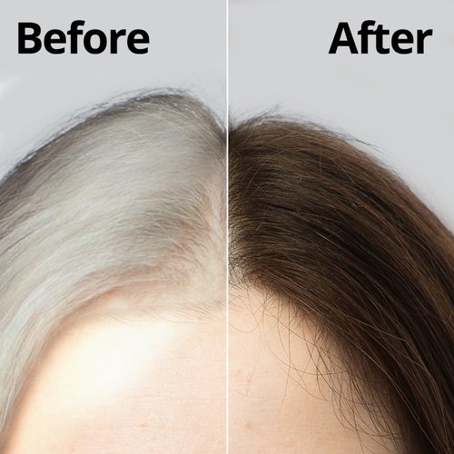 Daeng Gi Meo Ri – Korean Herbal Hair Dye Color Cream [Light Brown] - PPD-Free Gray Coverage, Hair Protection, High-Keratin Formula, 5 Oz
