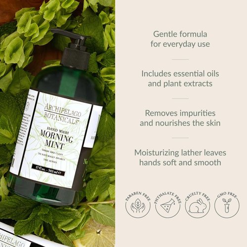 Archipelago Botanicals Morning Mint Hand Wash, Gentle, Daily Hand Soap, Cleanse and Hydrate (17 fl oz)