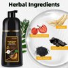 Dark Brown Hair Dye Shampoo, Hair Color Shampoo 3 in 1, Semi-Permanent Gray Hair Coverage for Woman & Man, Mild Formula, Lasts 30 Days(16.90 oz)