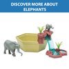 Wild Scenes Elephants' Watering Hole - Grow & Play Kit Environmentally Friendly Wildlife Conservation Toy - Animal Playset for Kids Ages 4 and Up
