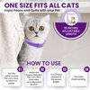 TriOak 4 Pack Calming Collar for Cats, Cat Calming Collar, Calming Pheromone Collar for Cats, Cat Pheromone Collar, Cat Calming Collar for Anxiety, Efficient Relieve Anxiety Stress
