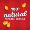 Orville Redenbacher's Original Gourmet White Popcorn Kernels, 30 oz