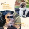 Enjoying Dog Goggles/Sunglasses Small Breed Outdoor UV Protection Dog Sunglasses for Small Dogs Eye Protection Anti-Fog/Wind/Dust/Snowproof Puppy Glasses, Black