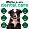 TropiClean Clean Teeth Gel for Puppies | No Brush Puppy Dental Gel | Puppy Toothpaste | Puppy Tooth Gel for Small Dogs | Made in the USA | 2.2 oz.