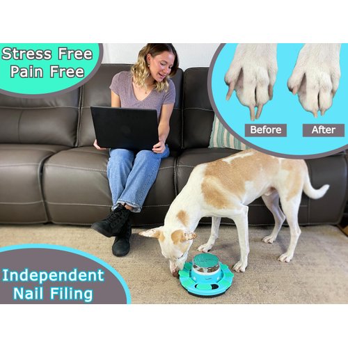 Zenly Paws Dog Nail File Toy | Dog Scratch Pad for Nails | Dog Nail Scratch Board | Scratch Pad for Dogs | Dog Nail File Board | Dog Scratch Board | Nail File for Dogs | Scratch Boards for Dogs