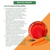 SULU ORGANICS Carrot Seed Oil- USDA Organic Cold Pressed Unrefined (4 oz)
