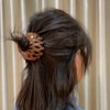 5 Pcs Bird Nest Shaped Hair Clips Expandable Ponytail Holder Clip Hair Donut Bun Maker Ponytail Buckle Hairstyle Tools Hair Accessories