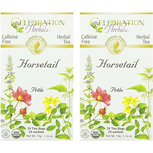 Celebration Herbals Organic Horsetail Tea Bags 24 Count