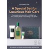 AROMATICA Rosemary Hair Care Holiday Gift Set - Shampoo for hair growth & Heat Protection Leave in Treatment & Scalp Treatment - Vegan and Silicone Free