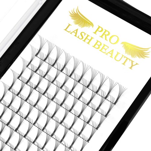 Premade Volume Eyelash Extensions 6D-D-0.10-16 Long Stem Premade Fans Eyelash Extensions .07 .10 Premade Volume Fans Volume Lash Extensions C D Curl(6D-D-0.10,16 mm)