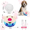 UgyDuky Active Moving Pet Plush Toy,2024 New Interactive Dog Toys Pet Bouncing Balls Dog Ball Moving Dog Toy Dog Toys Washable Cartoon Pig Plush to Keep Them Busy Small Plush for Dogs Pet Toys