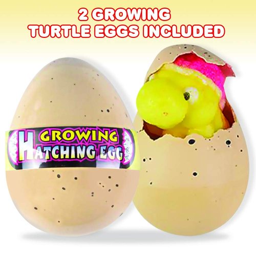 ArtCreativity Growing Turtle Eggs, Set of 2, Hatching Turtle Toys for Boys and Girls, Turtle Birthday Party Favors for Kids, Science Educational Toys for Children, Fun Water Bathtub Toys