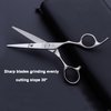 Hair Cutting Scissors and Thinning Scissors Kit,6.5 inch Professional Salon Haircut Scissors Kit,Barber Hairdressing Shears Set,Hair Cutting Shears Texturizing Shears (Silver)
