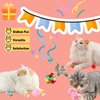 SVIEILLES Cats Toy Set Interactive Cat Toys Pack Woolen Cat Toy Balls with Bell and Fuzzy Balls, Interactive Toys for Indoor Cats and Kittens, Chew Toys 12pcs