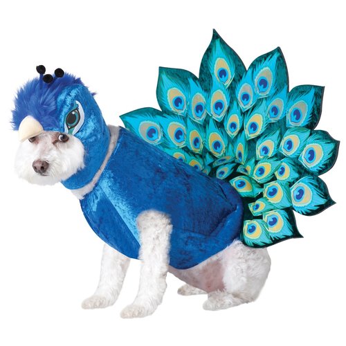 California Costumes Pet Peacock Dog Costume Costume