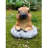 KQCQZ Garden Decoration Cute Marmot Gift Yard Home Decor Animal Statue Outdoor Décor for Lawn Patio Balcony & Courtyard