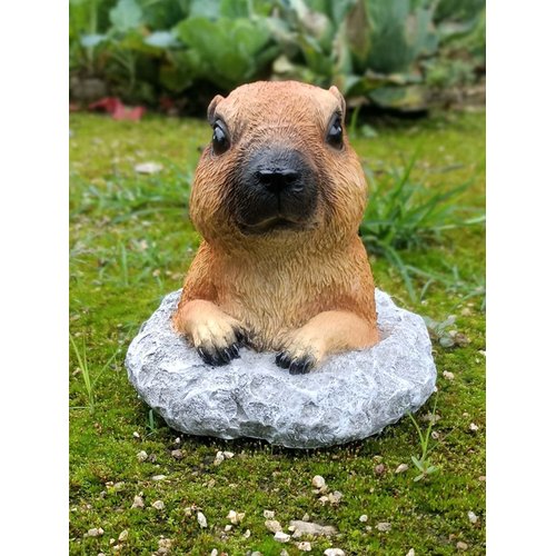 KQCQZ Garden Decoration Cute Marmot Gift Yard Home Decor Animal Statue Outdoor Décor for Lawn Patio Balcony & Courtyard