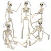UMEELR 5Pcs Hanging Skeleton Halloween Decorations, 16in Movable Joints Realistic Full Body Poseable Plastic Skeleton for Yard Garden Patio Haunted House Halloween Party Decoration