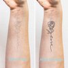 5X2Y Tattoo Tech, Long Lasting Temporary Tattoos, Last 1-2 Weeks, Waterproof, Semi Permanent Tattoo, Realistic look, No Adhesive, No reflection (Dolphin)