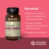 Nature's Sunshine Horsetail, 100 Capsules