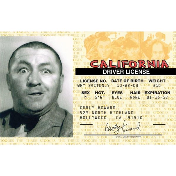 Signs 4 Fun Parody ID | Stooges - Curly Driver’s License | Fake ID Novelty Card | Collectible Trading Card Driver’s License | Novelty Gift for Holidays | Made in the USA