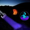 HQRP 390 nM 51 LED Flashlight Blacklight for Hotel Room Inspection, Saliva Sperm Identification, Pet Urine Detection, Scorpion Hunting, Security Control, Leak Detection, etc.