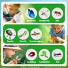 AuntyFey Bug Catcher Kit For Kids, Bug Catching Kit for Kids with Bug Cage, Bug Box, Bug Net, Insert Catcher, Kid Binoculars, Magnifying Glass, Critter Keeper, Outdoor Explorer Kit for Kid 3 4 5 6 7 8