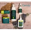 Canviiy ScalpBliss Itch-Calming Serum, Long-Lasting Soothing Scalp Moisturizer for Dry itchy Scalp, Enriched with Aloe Vera, Witch Hazel, Manuka Honey and Peppermint Oil (Organic Based)