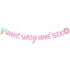 Sursurprise Sweet Sassy and Six Birthday Decorations, Sweet Sassy and Six Banner, Donut Ice Cream Candy Sweet 6th Birthday Party Supplies for Girls
